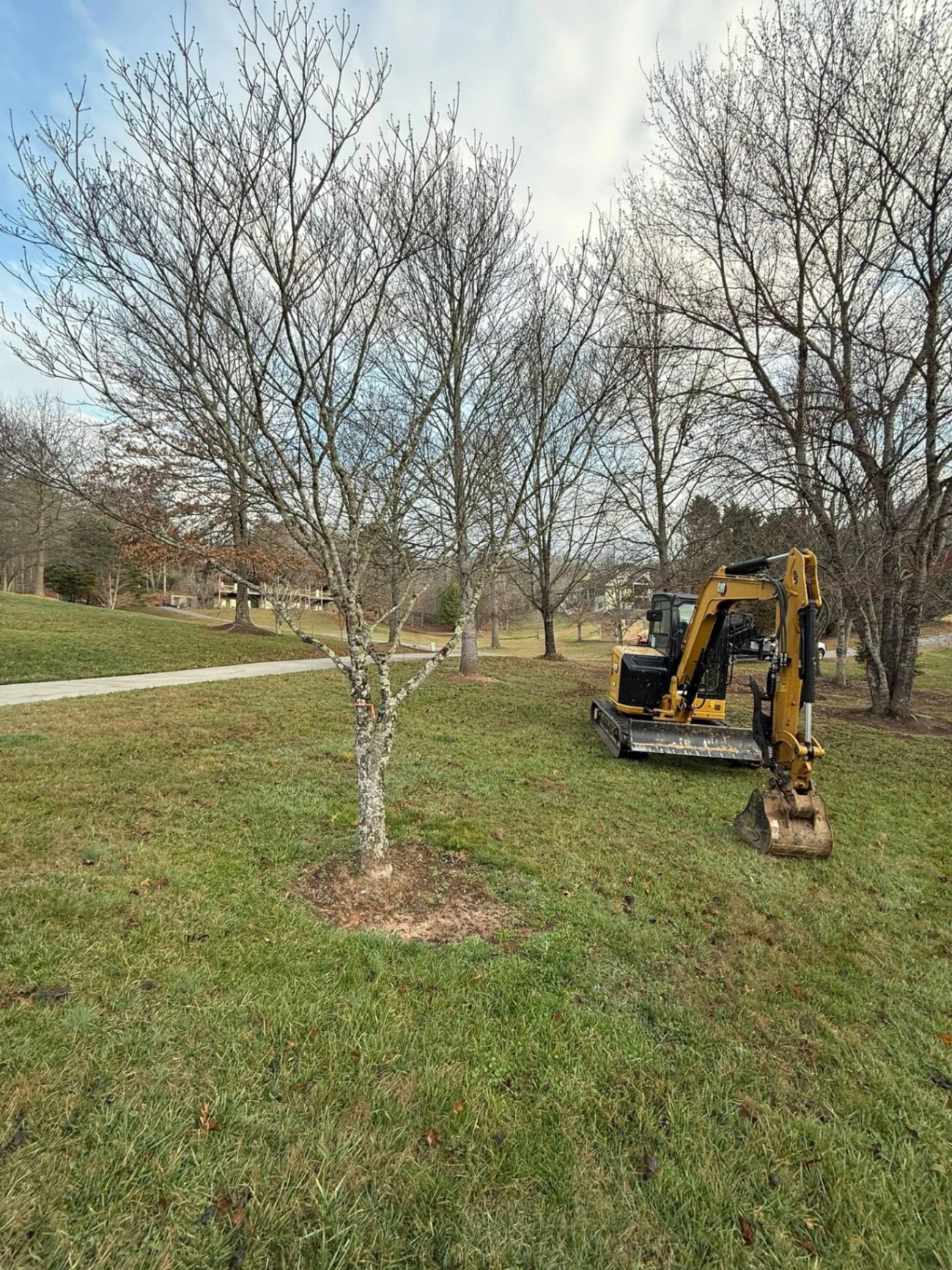 CAT excavator working a residential yard