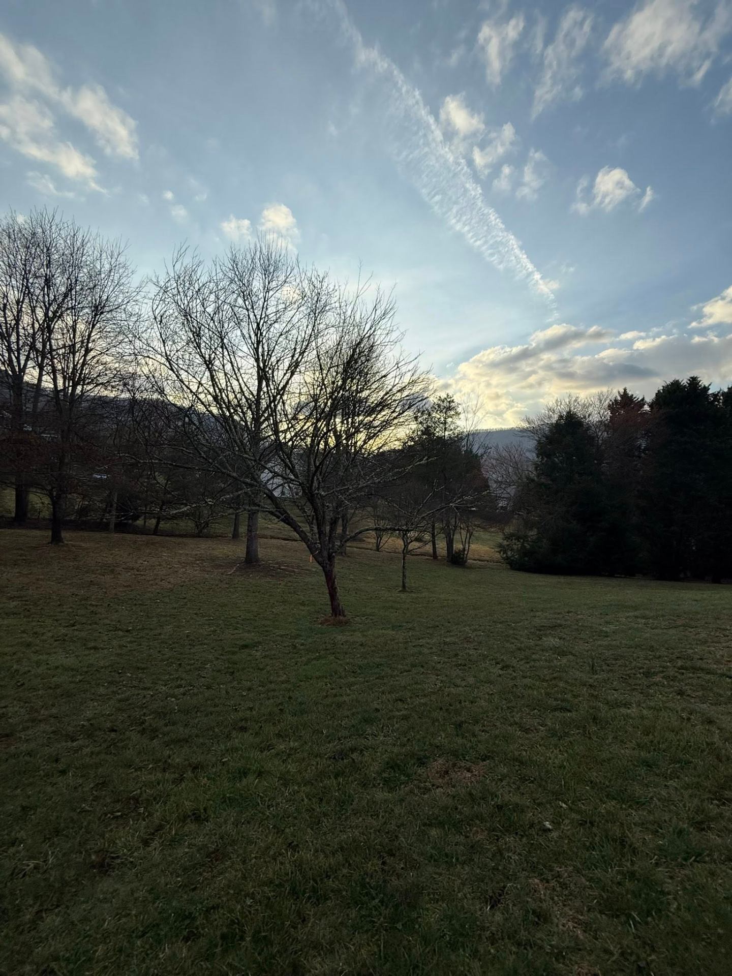 Open Georgia field at sunset after clearing